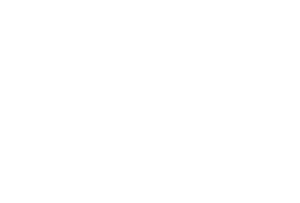 Access Fund Logo